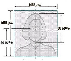 ビザ用証明写真のサイズ指定例